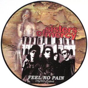 The Sisters Of Mercy – Feel No Pain (The SSV-Project) PICTURE DISC LP RECORD